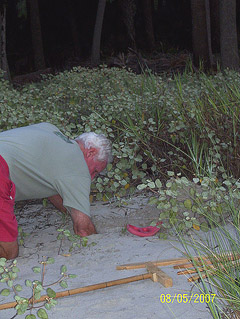 Nest #63 Digging New Chamber