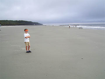 Child Watching Turtle Baby