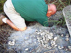 Nest Inventory