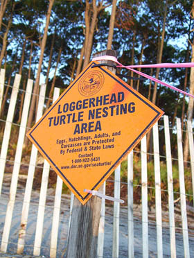 This is the Sign